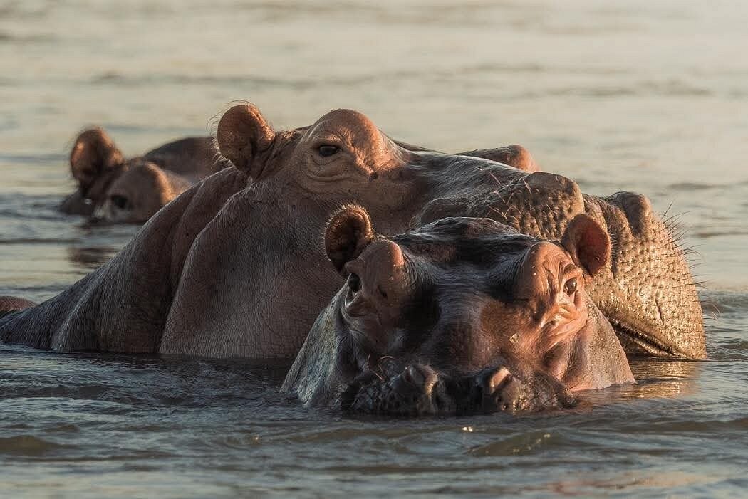Stone Town, Zanzibar