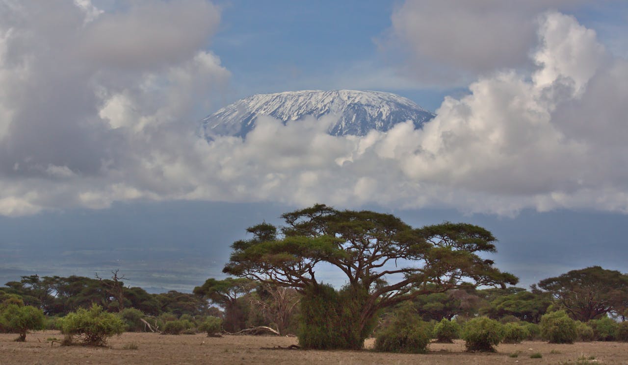 Machame Barranco Wall