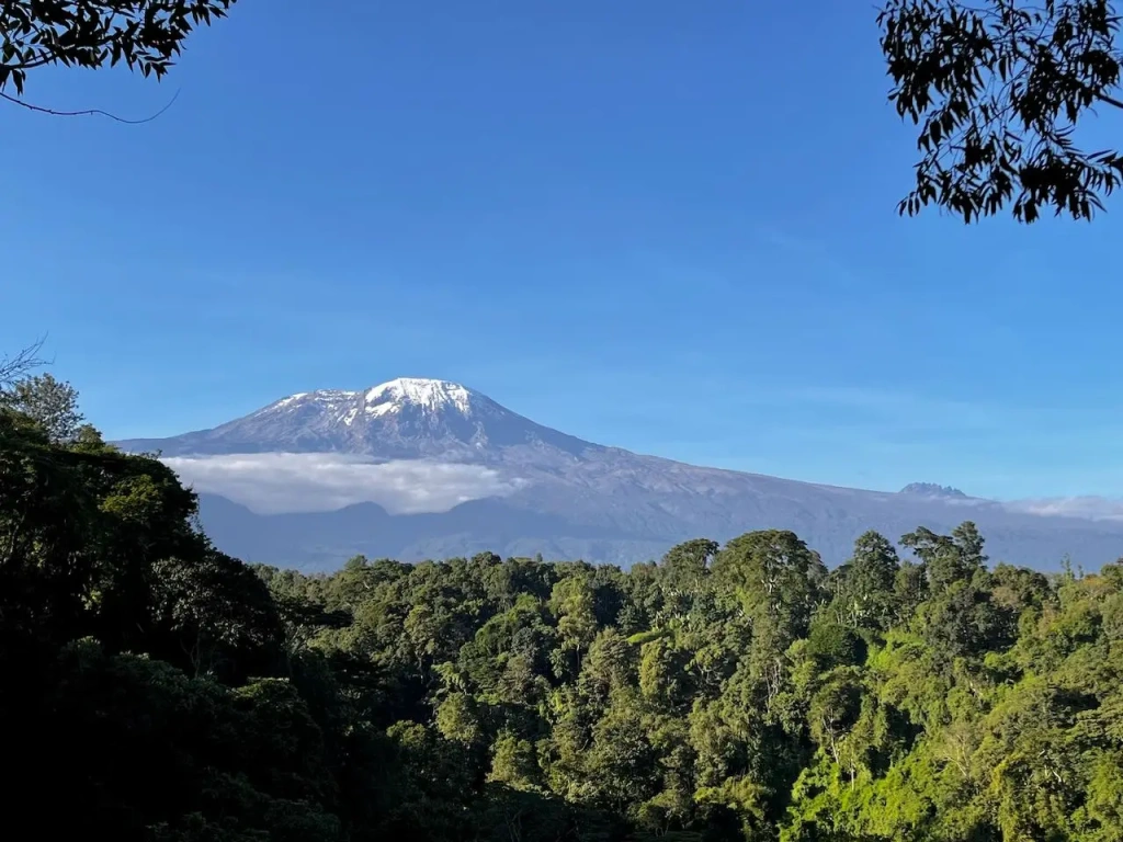 Rongai route near Mawenzi