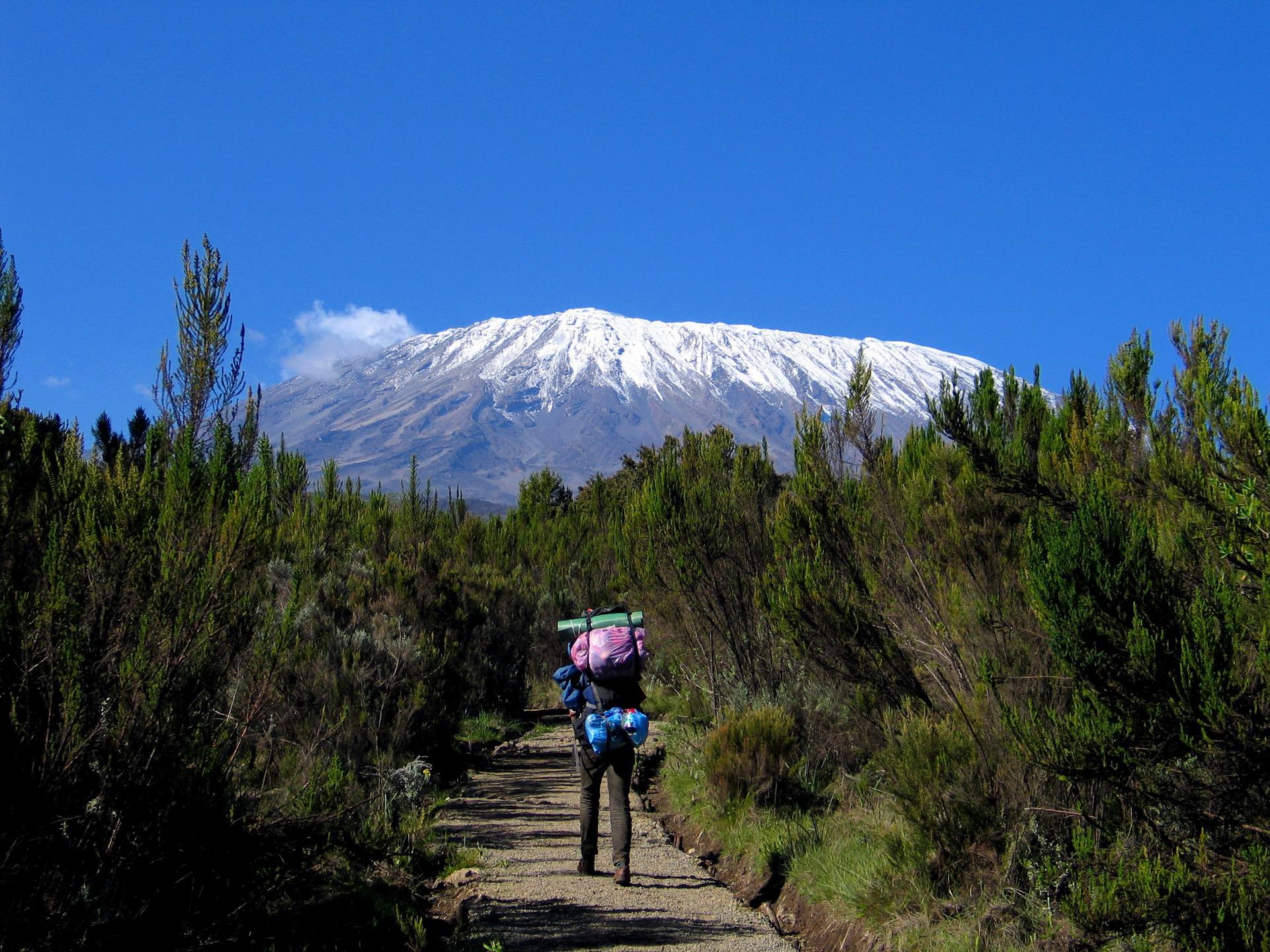 Marangu huts and trail