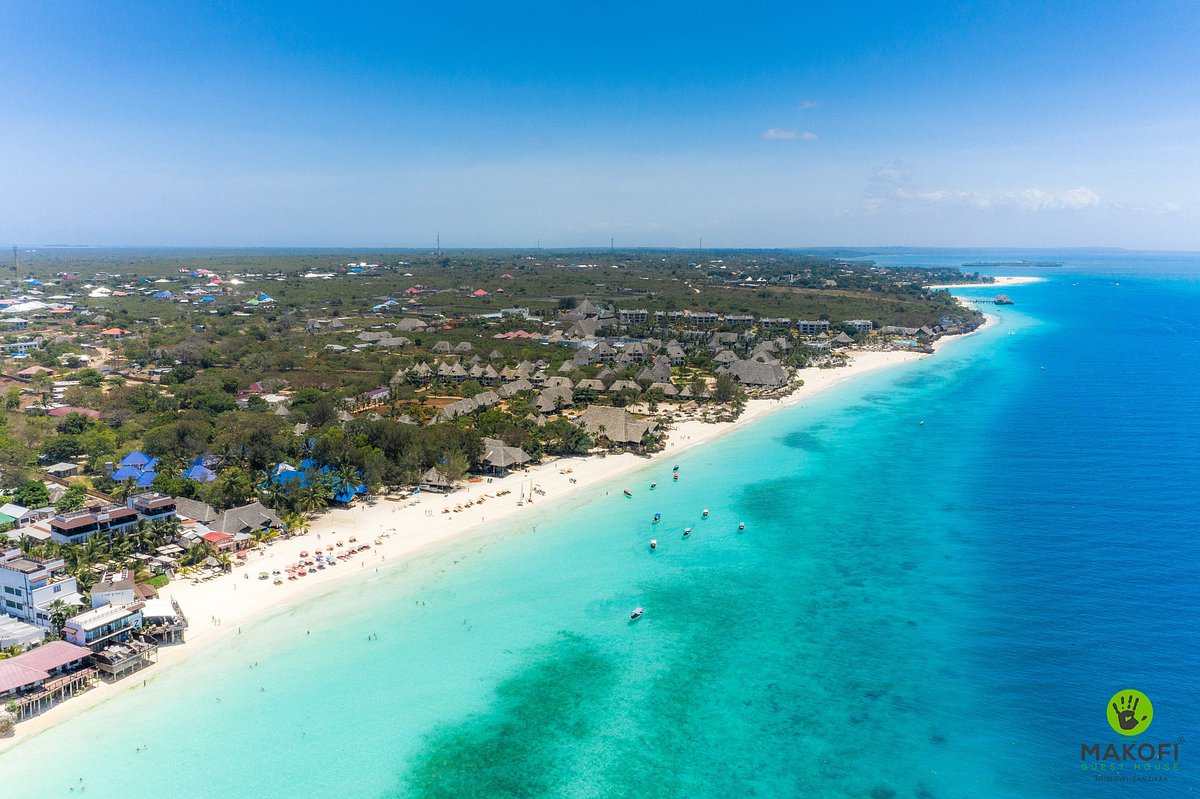 Morning game drive scene