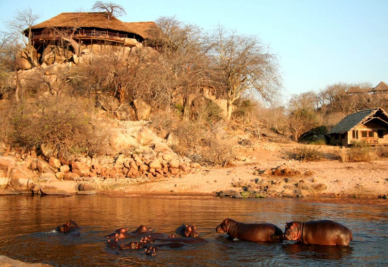 Ruaha National Park baobab trees