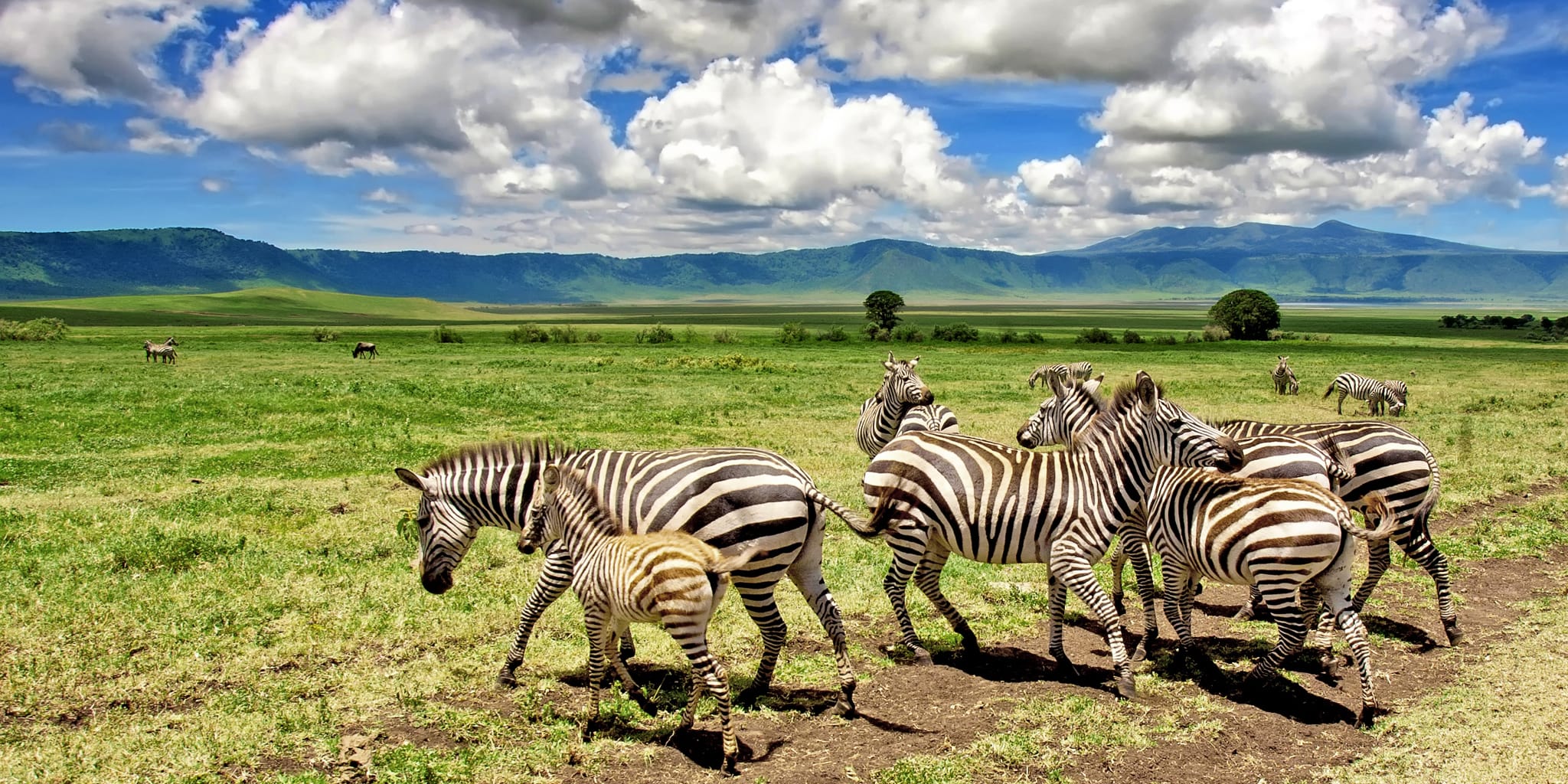 Ngorongoro Crater landscape