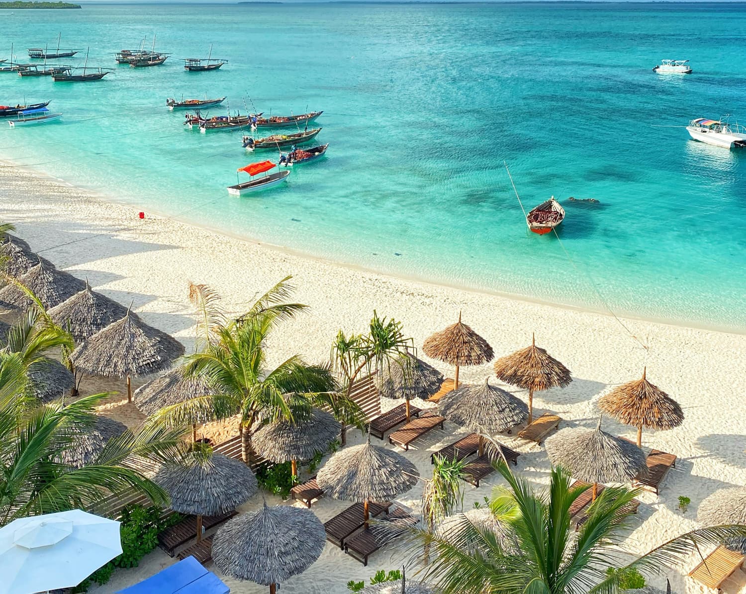 Morning game drive scene